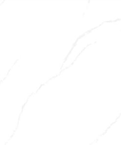 Gạch Ốp Lát 800 x 800 DY85Y09