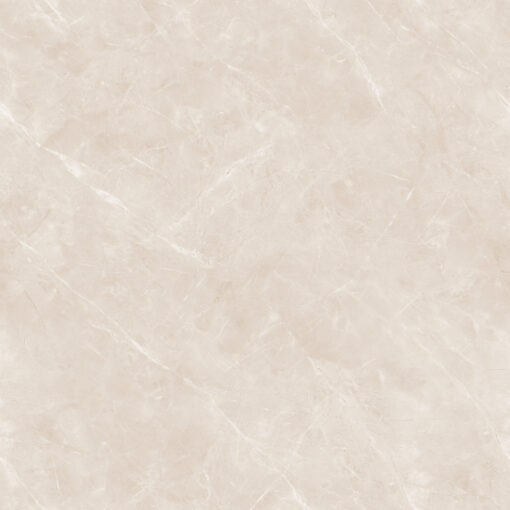 Gạch Ốp Lát 1M x 1M GT10933