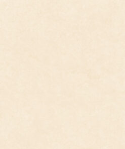 GT10952-埃菲尔1 Gạch Ốp Lát 1M x 1M GT10952