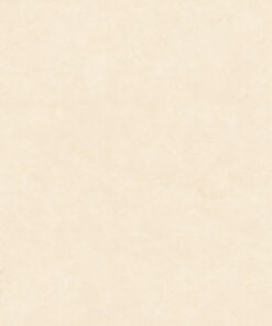 Gạch Ốp Lát 1M x 1M GT10952 Gạch Ốp Lát 1M x 1M GT10952