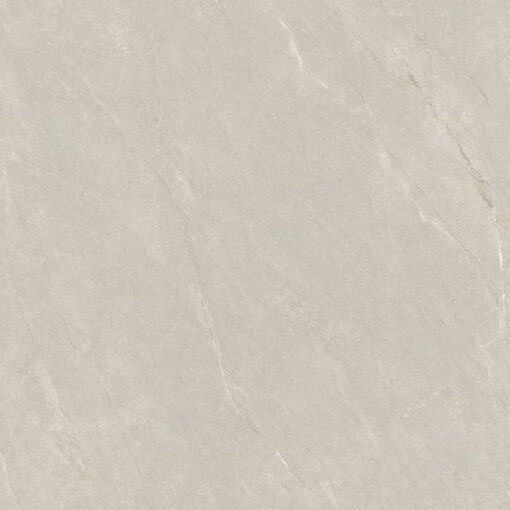 Gạch Ốp Lát 800 x 800 KT88112