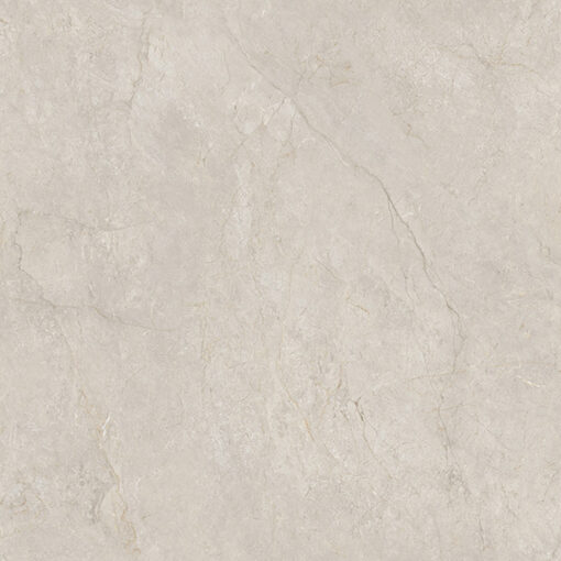 Gạch Ốp Lát 800 x 800 KT88115