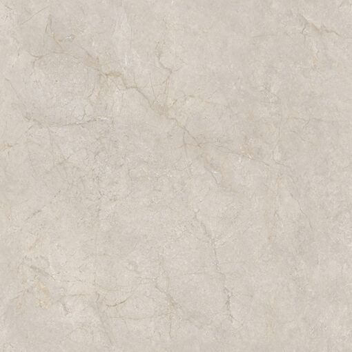 Gạch Ốp Lát 800 x 800 KT88115