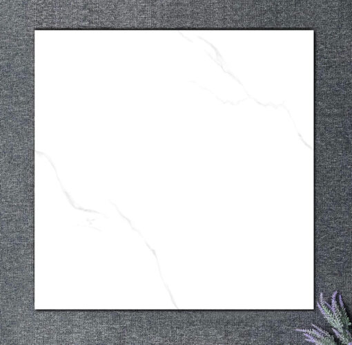 Gạch Ốp Lát 800 x 800  SS8608BL