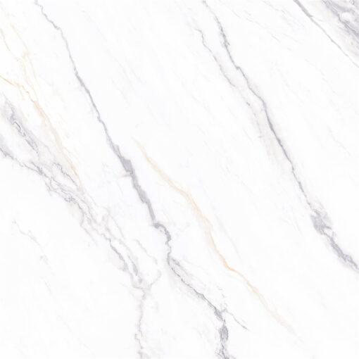 Gạch Ốp Lát 1200 x 1200 MYYB12Y29A