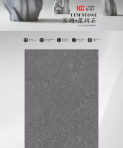 Gạch Ốp Lát 400 x 800 LMS25