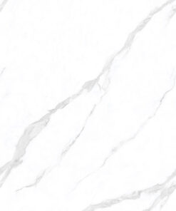 Gạch Ốp Lát 400 x 800 JBZ10